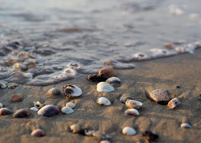 Coastal Escape - Modern Flat With Wi-fi 아파트